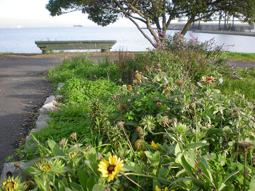 Warm Water Cove Park