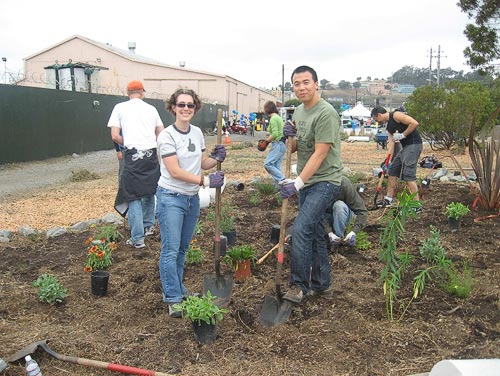 Warm Water Park Planting